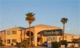 pet friendly hotel in lake havasu