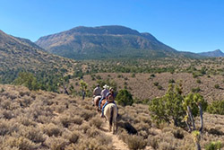 horseback riding in joshua tree