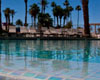 petfriendly hotel in lake havasu