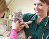 novak animal care center pet friendly veterinarian near lake havasu city az