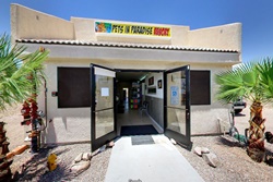 pets in paradise resort pet care and dog boarding in havasu