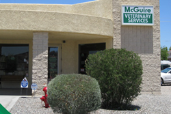 mcguire veterinary services pet friendly veterinarian near lake havasu city