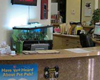 novak animal care center pet friendly veterinarian near lake havasu city az