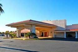 pet friendly hotel in lake havasu