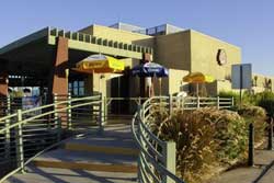 pet friendly restaurants in havasu