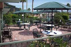 pet friendly restaurants in havasu